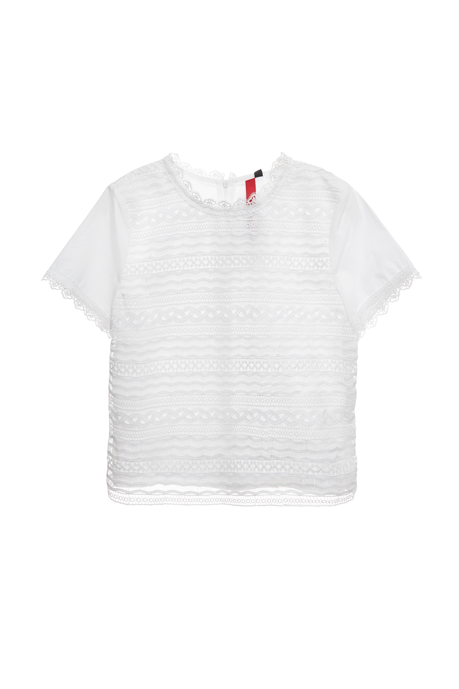 蕾絲拚條紋理上衣蕾絲拚條紋理上衣,上班OL穿搭,上衣,春夏穿搭,條紋,約會特輯,蕾絲,蕾絲上衣